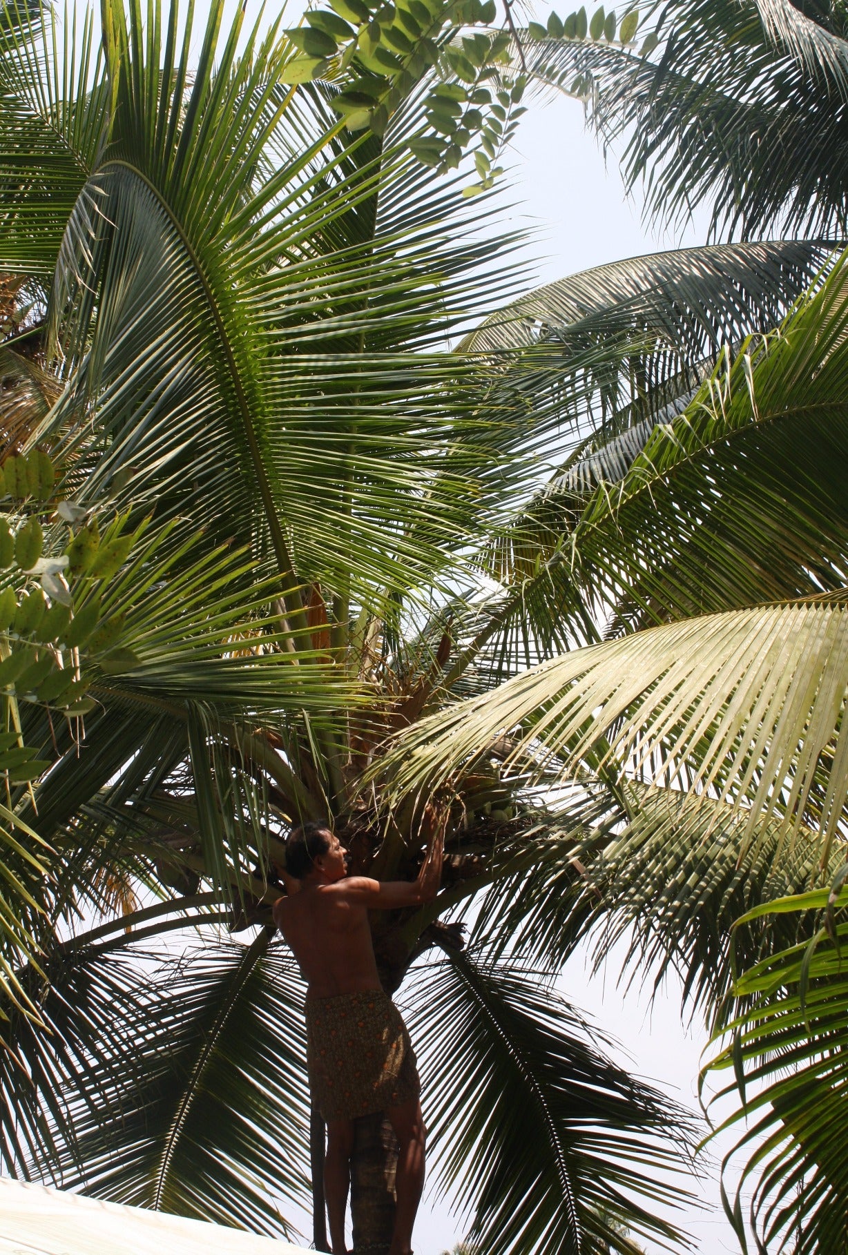 Kerala, India